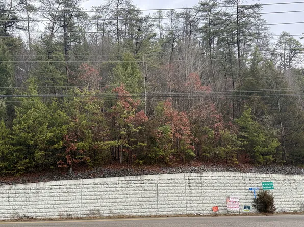 0 Birds Creek Rd, Sevierville, TN 37876