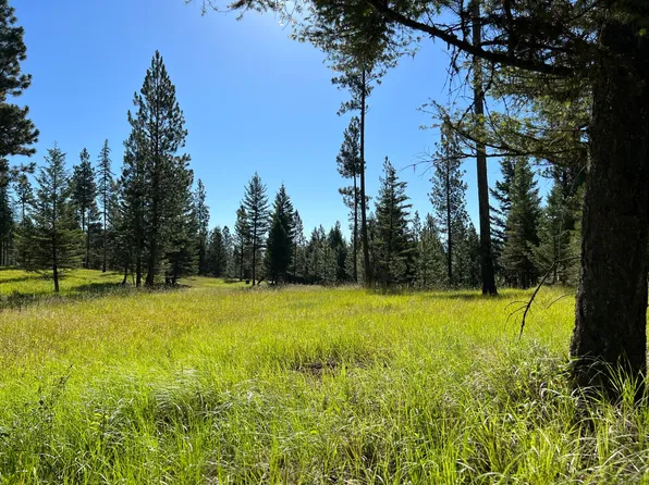 8212 Gold Creek Rd, Bonner, MT 59823