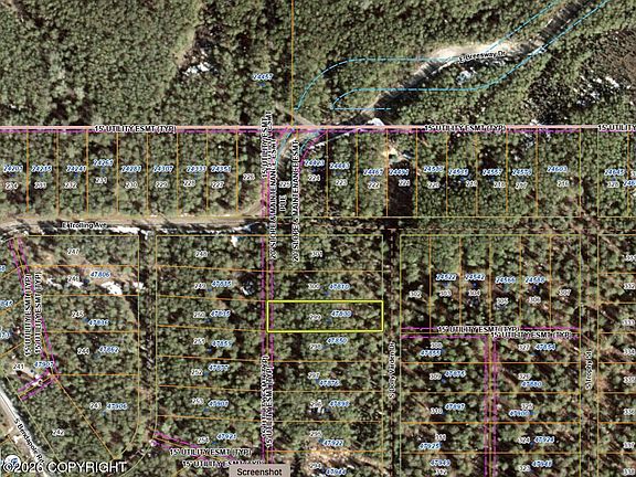4th image of 47830 S Dolly Varden Dr