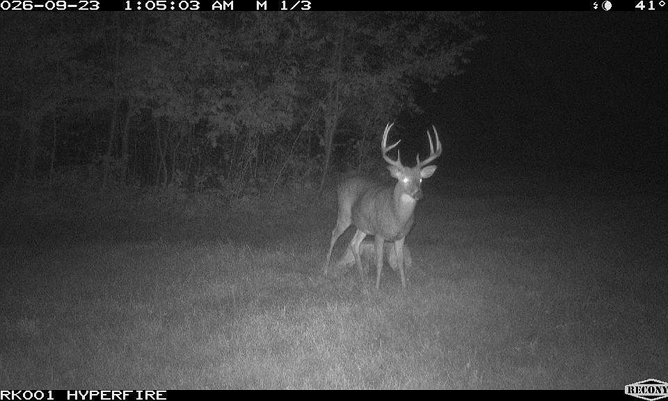1st image of 4473 Hamilton Dr