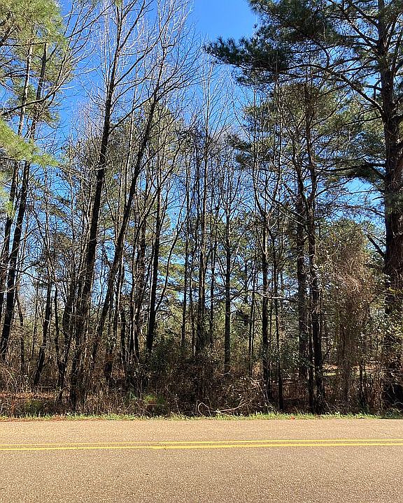 2nd image of Forest Hill Rd