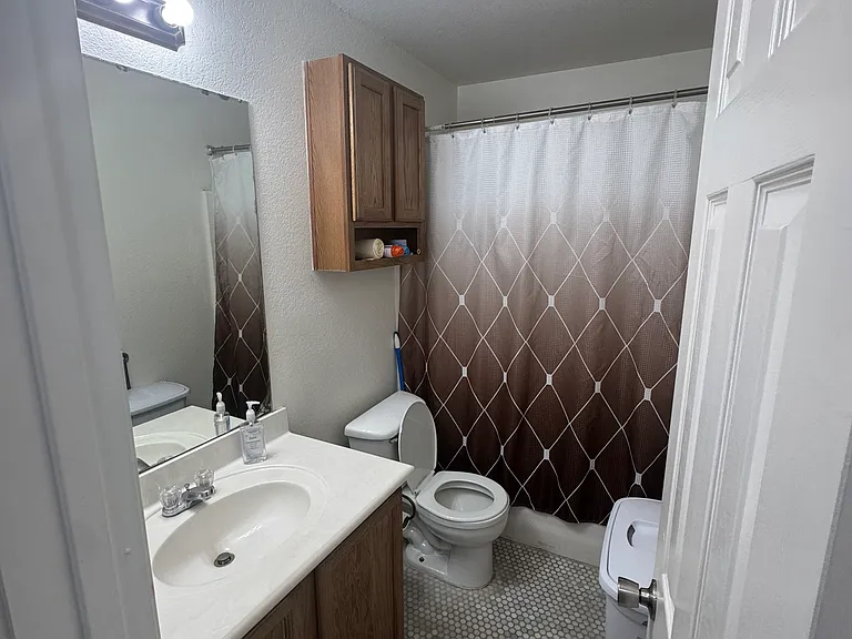 10821 Snow Pea Dr — Photo 10