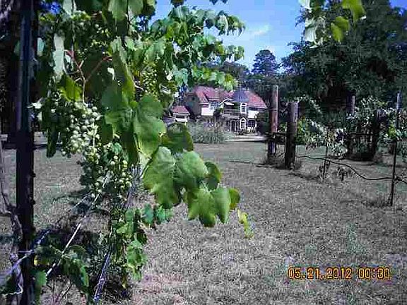 2nd image of 1301 Fm 2685