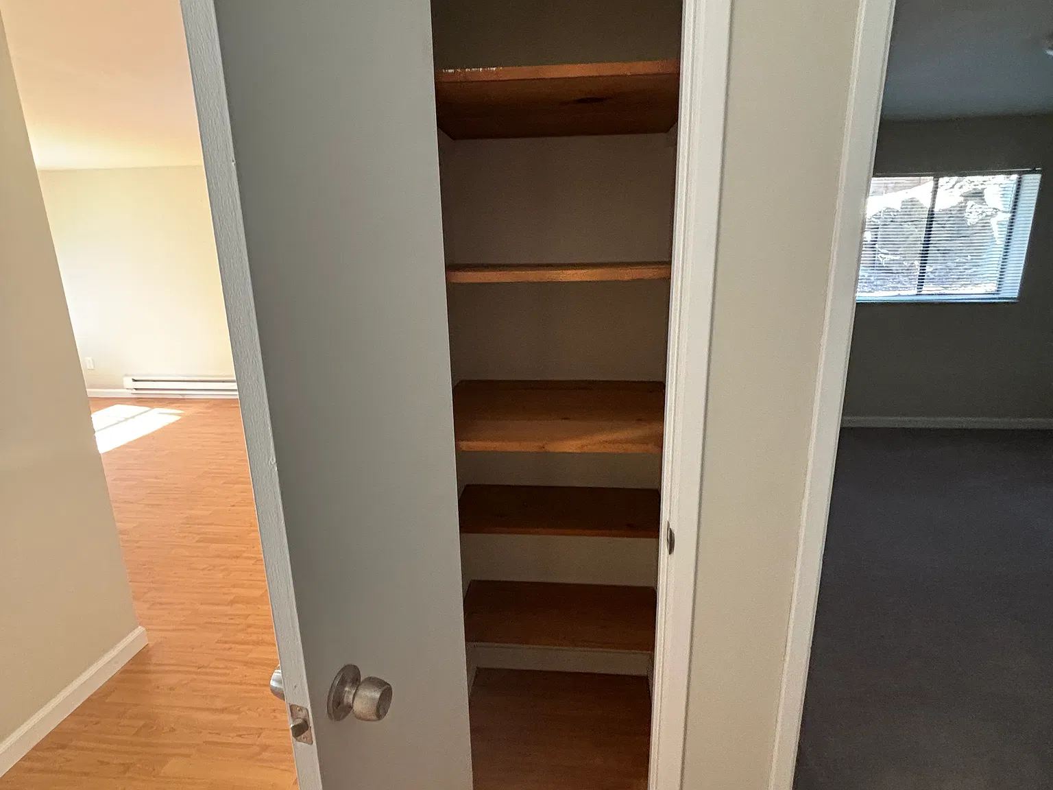 1 bed, 600 sqft, $1,800 — Photo 4