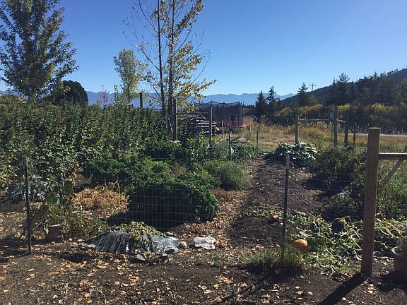 Fenced garden