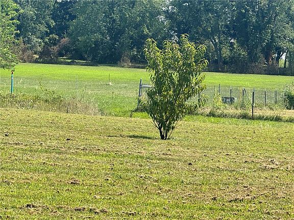 3rd image of Pine Dr