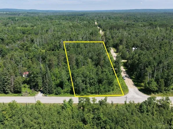 County Road 489, Atlanta, MI 49709