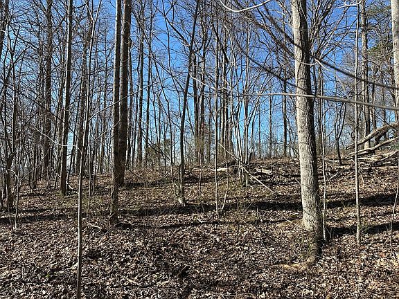 3rd image of LOT 80 Asheland Cove Dr