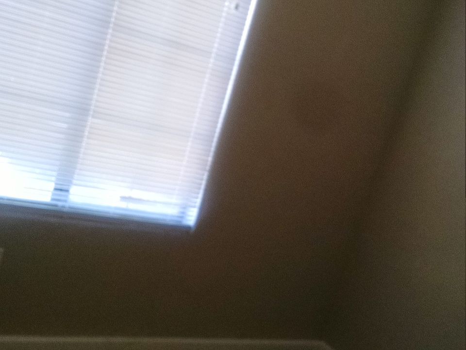 2nd image of 2191 Hussium Hills St Unit 101