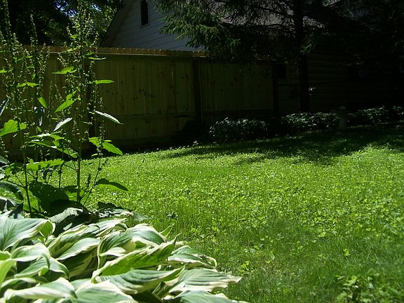 Fenced in yard
