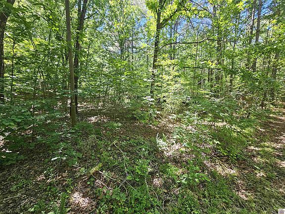 5th image of 274 Sun Valley Rd