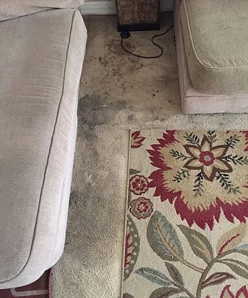 2nd image of 8650 Belford Ave APT 120