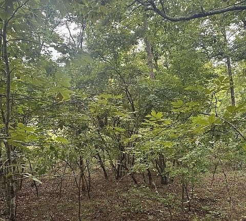 4th image of 108 Chesadu Cir Lot 108