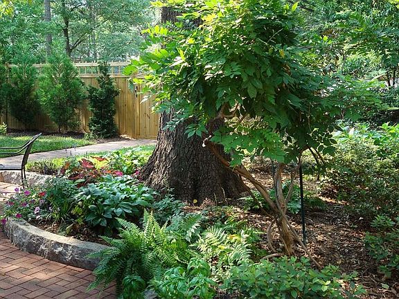 Back yard panorama