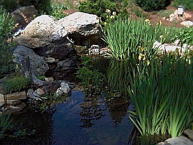 Pond