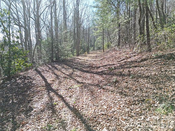 2nd image of 49 Reeds Creek Rd