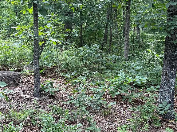 5th image of 4650 Edgemont Rd