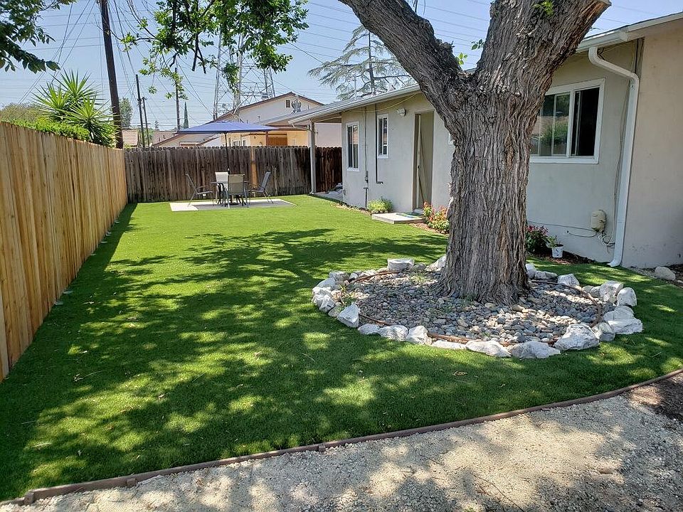 Back yard