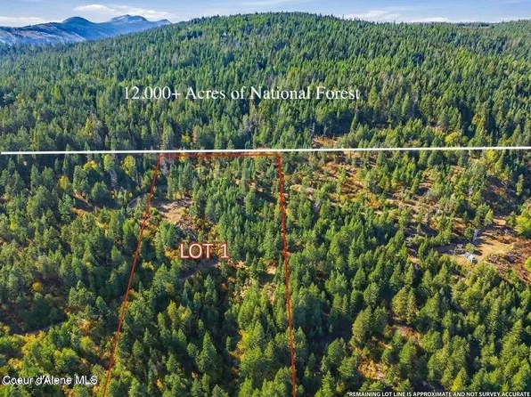 Nka Juniper Ln Lot 1, Naples, ID 83847