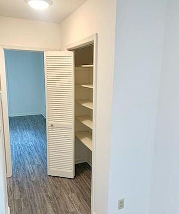 Hallway to bedroom with nice big closet on the right.