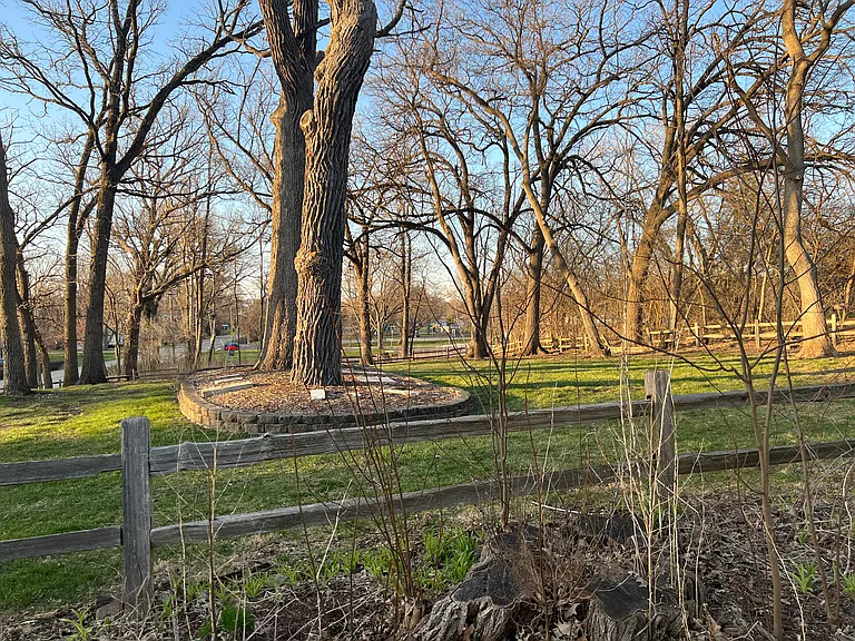 View of rear yard.
North facing.