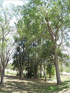 5th image of 970 Resaca Dr