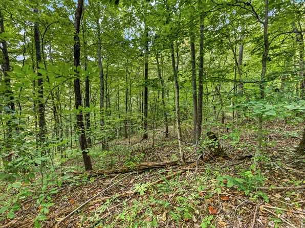 25 & 26 Timber Ridge Ln #Phase Ii, Celina, TN 38551