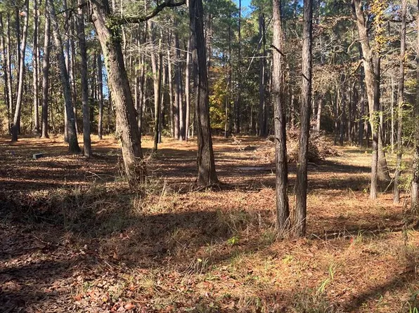 119 Lakewood Est, Hemphill, TX 75948