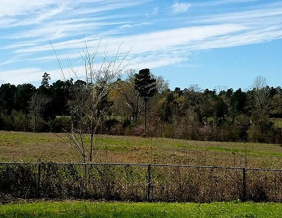 5th image of 10298 Creek Bend Dr