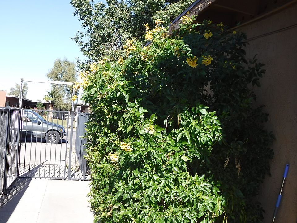 2nd image of 6713 W Palmaire Ave APT 4