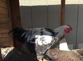 1929 N Lincoln St, Post Falls, ID 83854