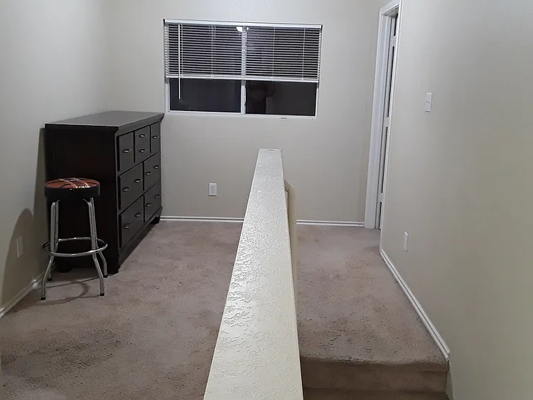 3007 Quiet Plain Dr — Photo 19
