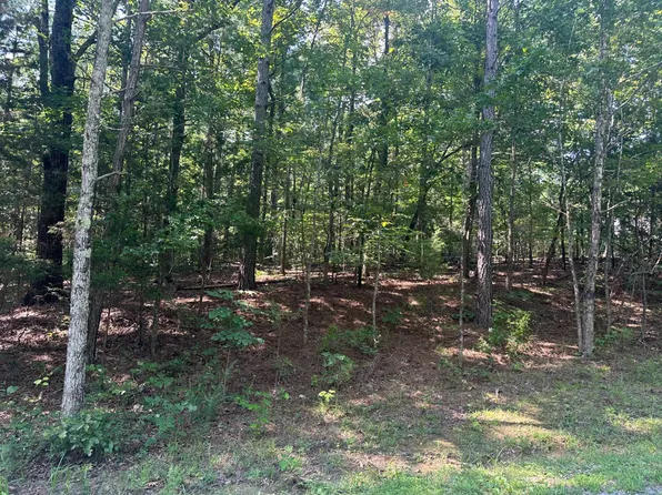 Xx Clark Ln, Buchanan, TN 38222