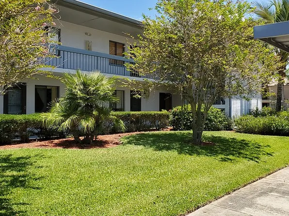 313 Martha Ln, Oldsmar, FL 34677