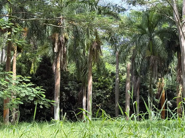 4641F Kuawa Rd, Kilauea, HI 96754