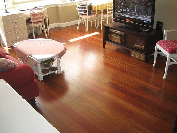 Living Room / Shot of Floors