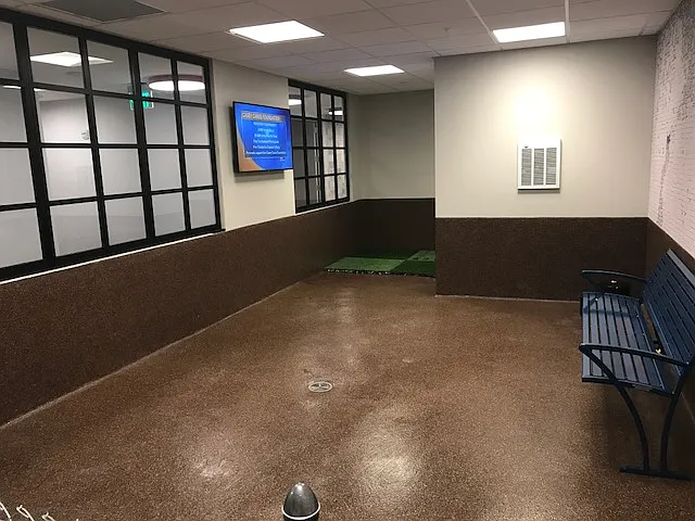 Indoor dog park