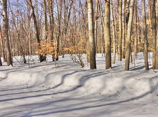 19776 One Mile Rd, Morley, MI 49336