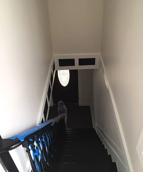 313 Hamilton St — Photo 1