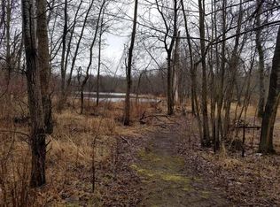 8160 N Holland Rd, Six Lakes, MI 48886