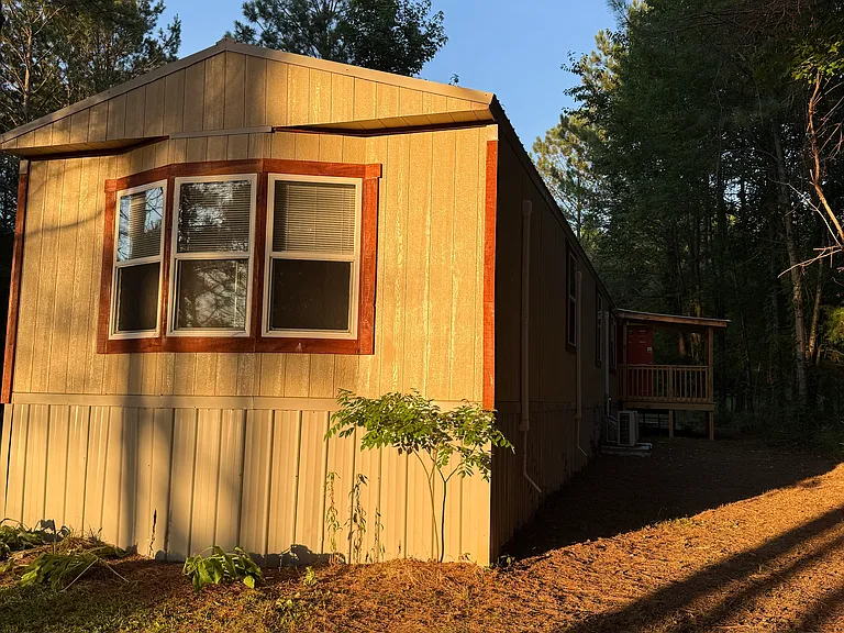 view of back yard with back porch