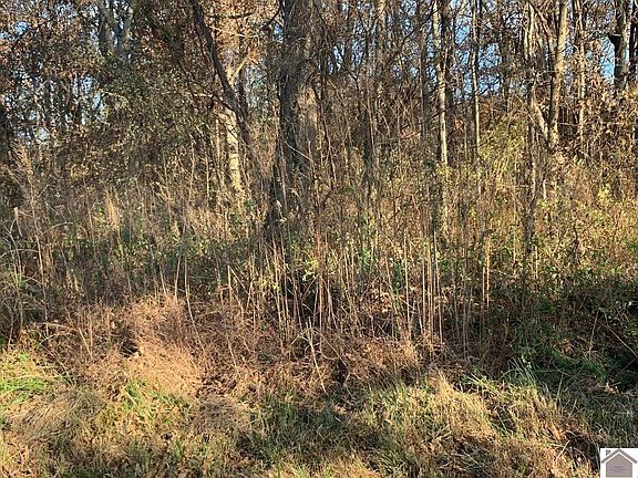 5th image of 0 Gholson Rd