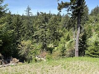 1st image of 12350 Forest Service Route Rd #1