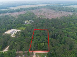 Pine Crest St, Shepherd, TX 77371
