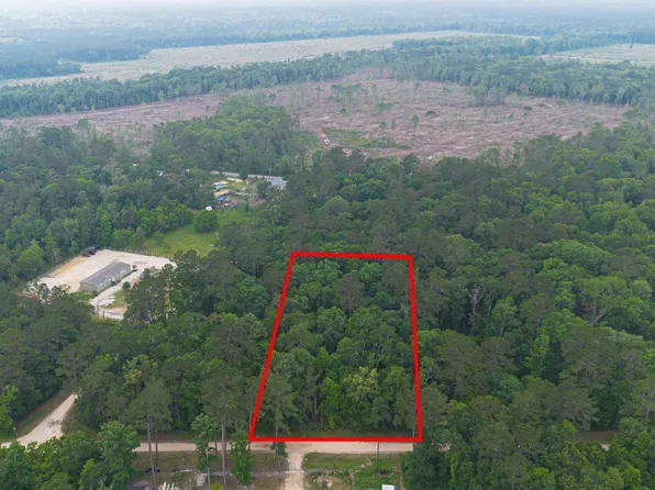 Pine Crest St, Shepherd, TX 77371