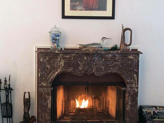 Wood burning fireplace 