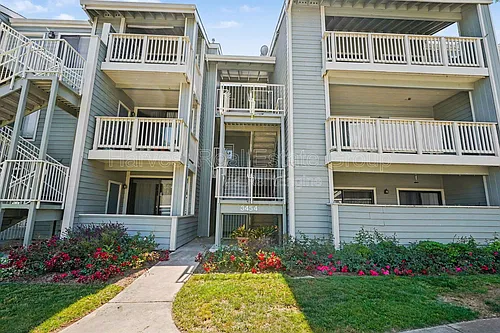 3454 Bridgewood Ter #313 Photo 1