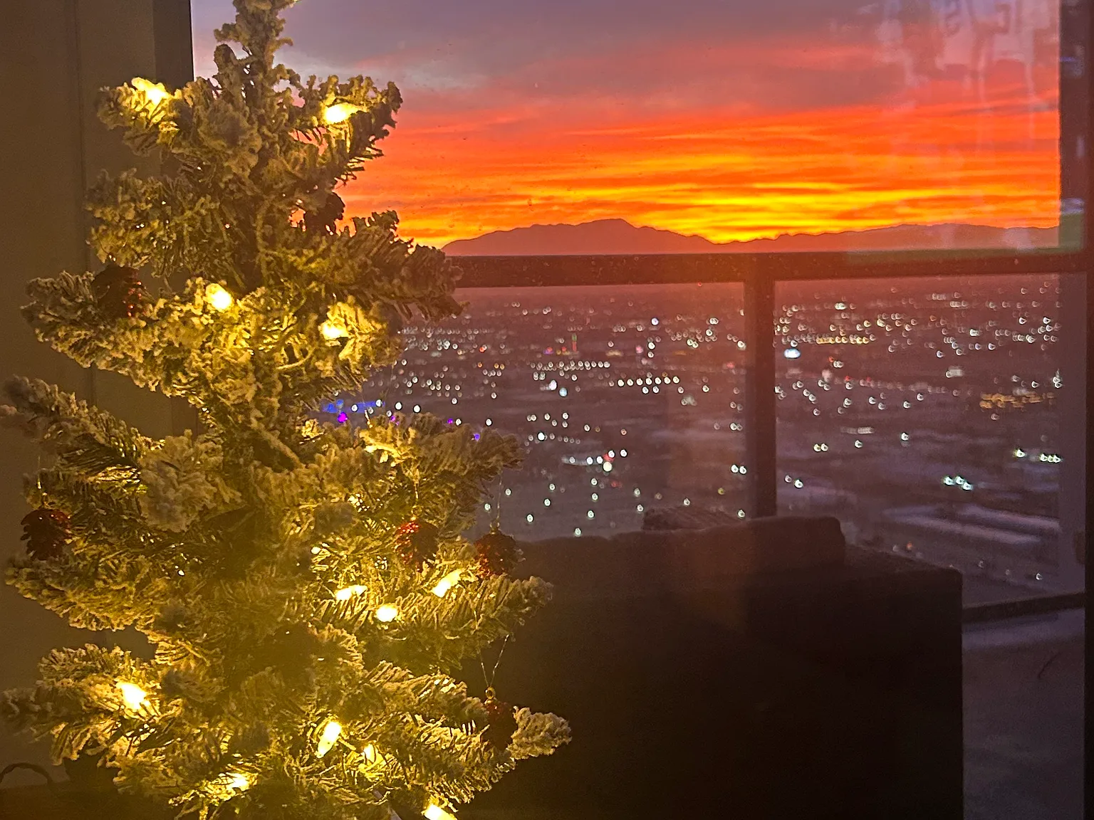 1 bed, 867 sqft, $2,000 — Photo 3