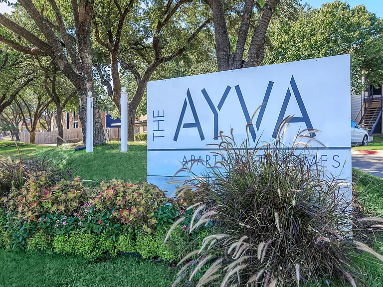 The Ayva — Photo 21