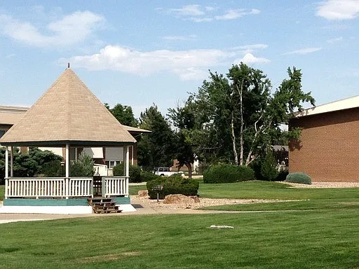 Will5110 — Photo 17
